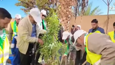 Capture d’écran 2025-10-28 093525