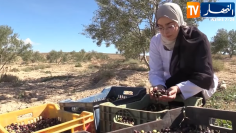 Capture d’écran 2025-10-28 095411