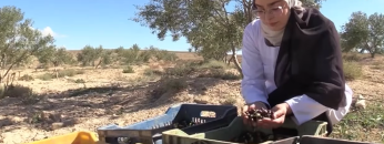 Capture d’écran 2025-10-28 095411