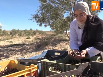 Capture d’écran 2025-10-28 095411